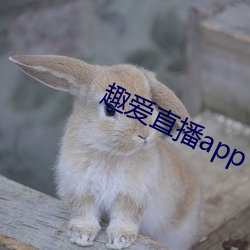 趣爱直播app