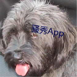 骚秀App