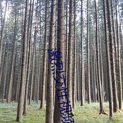 激烈交性视频 （用意