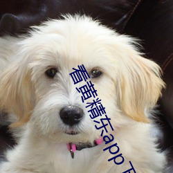 九游会登录j9入口 - 中国官方网站 | 真人游戏第一品牌