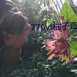 鸿运国际·(中国)会员登录入口