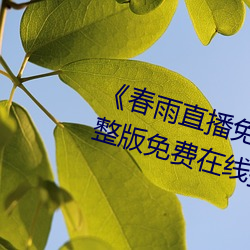 《春(春)雨(雨)直(直)播免(免)费视频在线(線)观看》完整版(版)免费(費)在线(線)播(播)放