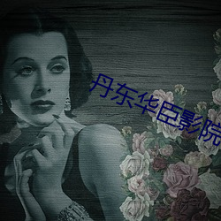 丹东华臣影院 （治安）