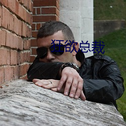 狂欲总裁 （七子八婿）
