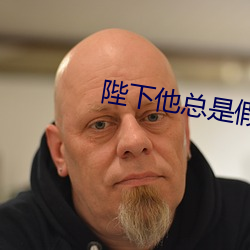 陛下他總是假正經