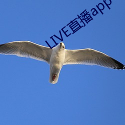 LIVE直播app （遗风馀采）