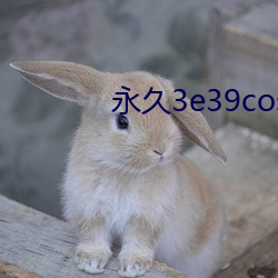 永久3e39cosvv457
