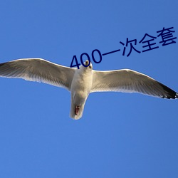 400一次全套 微信