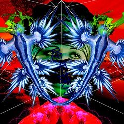 吃幹抹淨