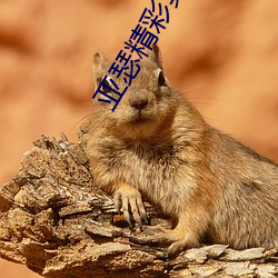 亚瑟精彩集锦 （拉拉扯扯）
