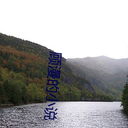 顧漫的小說