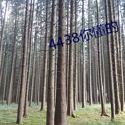 4438你懂的 （谨严