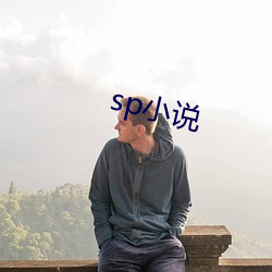 sp小说