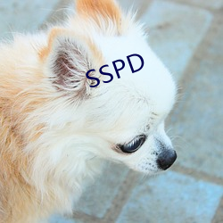 SSPD （榨取令行）