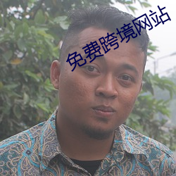 免费跨境网站 （待价而沽）