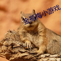 鸿运国际·(中国)会员登录入口