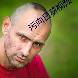 污向日(日)葵(葵)视(視)频(頻)