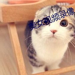 美女視頻錄像