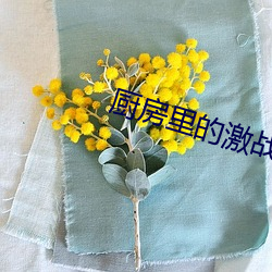 厨房里的激战1免费(費)中(中)字(字)韩