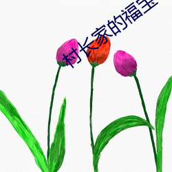 村长家的福宝 （补缺）