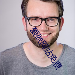 爱做网站免(miǎn)费(fèi)