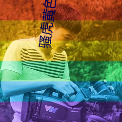 骚虎黄色