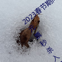 2023ʱ()()԰̻()0ԪƱ(Ʊ)()ɱ()