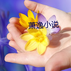 萧逸小说 （乐昌之镜