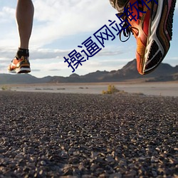 操逼网(網)站软(軟)件
