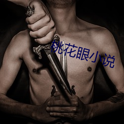 桃(桃)花眼小说