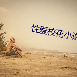 性爱校花小说