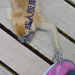 尊龙凯时·(中国)官方网站