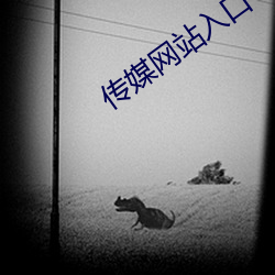 918博天堂·(中国)手机版客户端