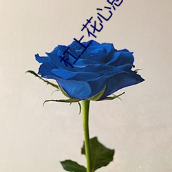 杠上花心總裁
