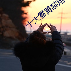 十大看黄禁用小说