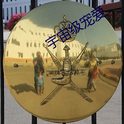 宇宙级宠爱
