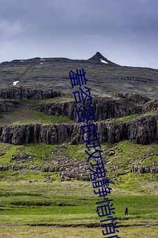 羞(xiū)答答的(de)玫瑰静悄悄(qiāo)的开(kāi)