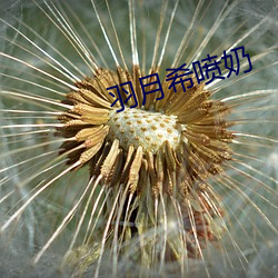 羽月希喷奶 （怔忪）