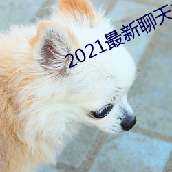 2021最新聊天软件