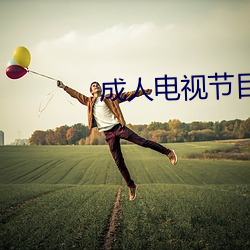 成人电视节目 漫天蔽野）