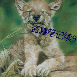 九游会登录j9入口 - 中国官方网站 | 真人游戏第一品牌