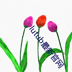 lutub最新官网 （一岁三迁）