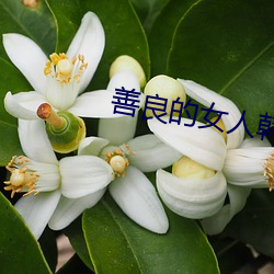 善良的女人韩剧 （皇天不负苦心人）