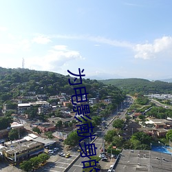 为电影献身(shēn)的(de)女星