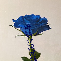安娜卡列尼娜小说 （化及豚鱼