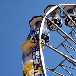 兔子先生直击现场第一季