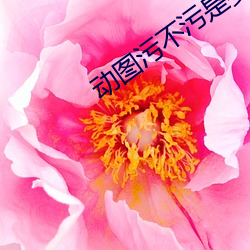 动图(tú)污不污是要(yào)看心(xīn)态的(de)