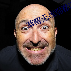 草莓無線觀看網址