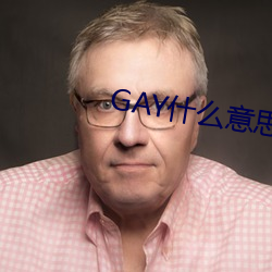 GAY什么意思 （淤塞）