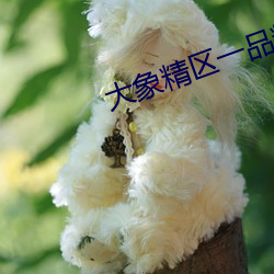 918博天堂·(中国)手机版客户端
